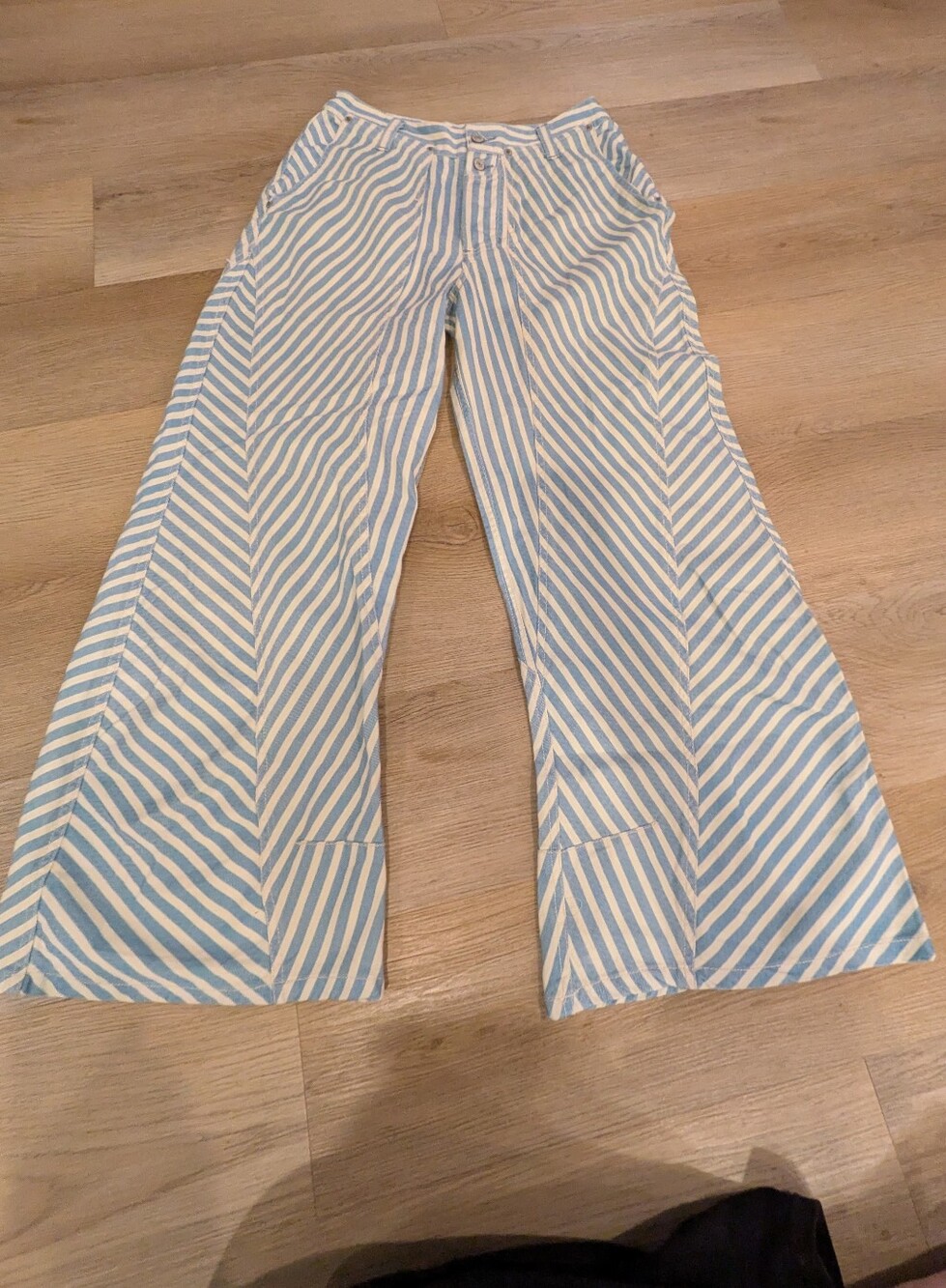 Free People Blue Striped NWT West Ridge Pants Size 6